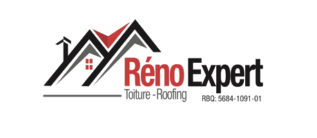 Toiture Renault Expert